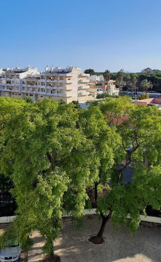 Casa Das Conchas Costa de Caparica Εξωτερικό φωτογραφία